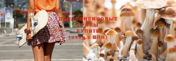первитин Козельск