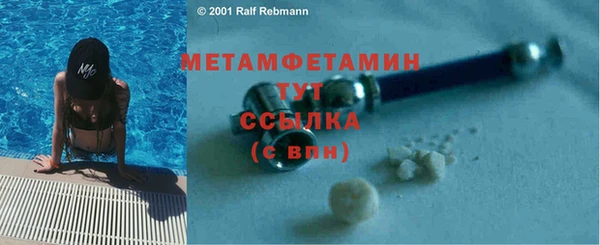 гидра Козловка