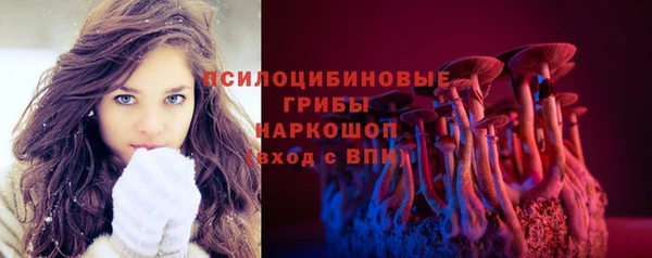 первитин Козельск