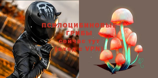 первитин Козельск