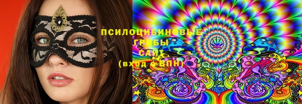 гидра Козловка