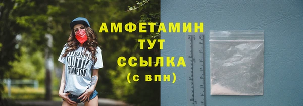 гидра Козловка