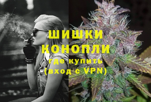 гидра Козловка