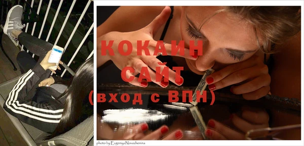 гидра Козловка