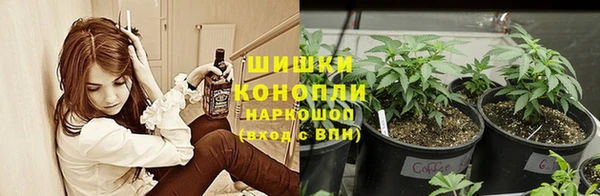 гидра Козловка
