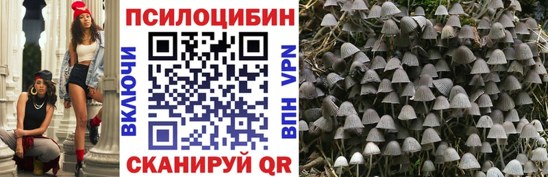 Псилоцибиновые грибы Cubensis  Купить  Верхотурье 